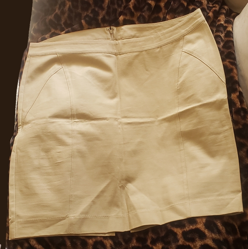 Khaki Skirt